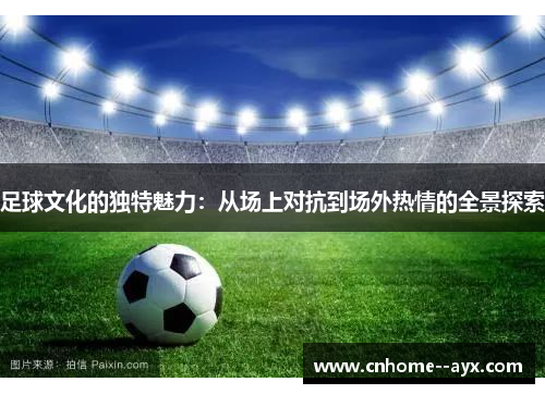 足球文化的独特魅力：从场上对抗到场外热情的全景探索