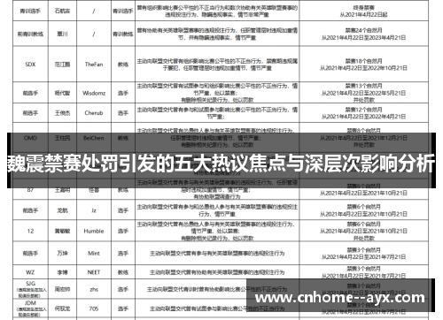 魏震禁赛处罚引发的五大热议焦点与深层次影响分析