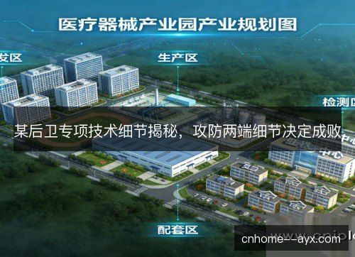 某后卫专项技术细节揭秘,攻防两端细节决定成败 某后卫专项技术细节揭秘,攻防两端细节决定成败