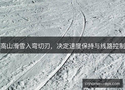高山滑雪入弯切刃,决定速度保持与线路控制 高山滑雪入弯切刃,决定速度保持与线路控制